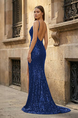 Dress 9160